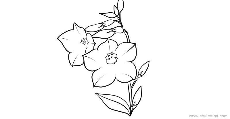 烟草花儿童画怎么画 烟草花简笔画图片