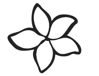 花瓣的简笔画图片大全 花瓣的简笔画图片大全大图