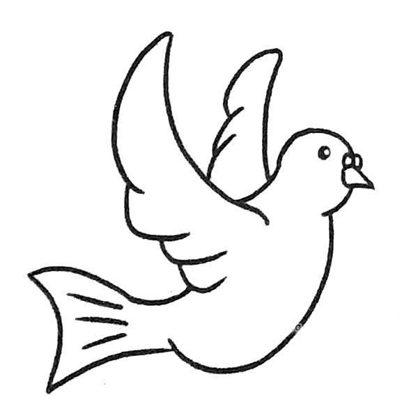 简笔画鸽子 简笔画鸽子涂色