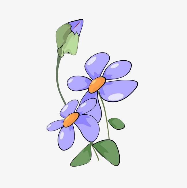 紫茉莉简笔画 紫茉莉简笔画彩色