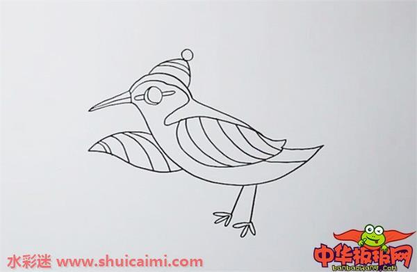 杜鹃鸟怎么画 杜鹃鸟简笔画步骤