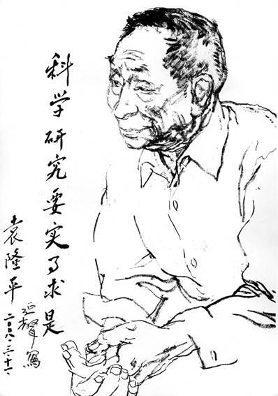 袁隆平的简笔画 袁隆平的简笔画可爱