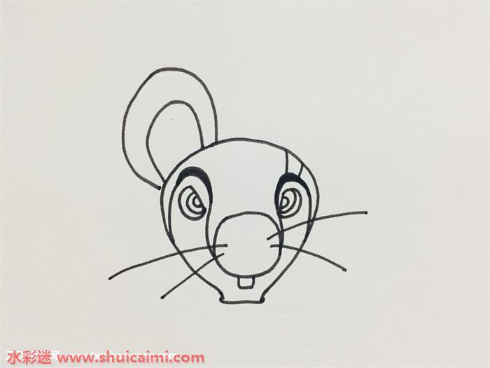 一只耳怎么画 一只耳简笔画简单又漂亮