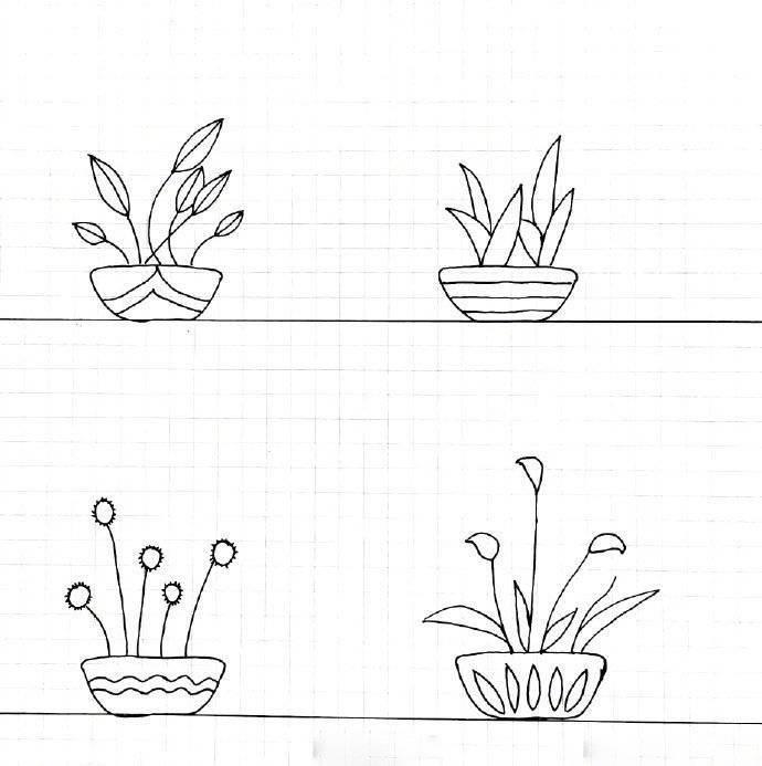 盆栽简笔画 盆栽简笔画图片带颜色