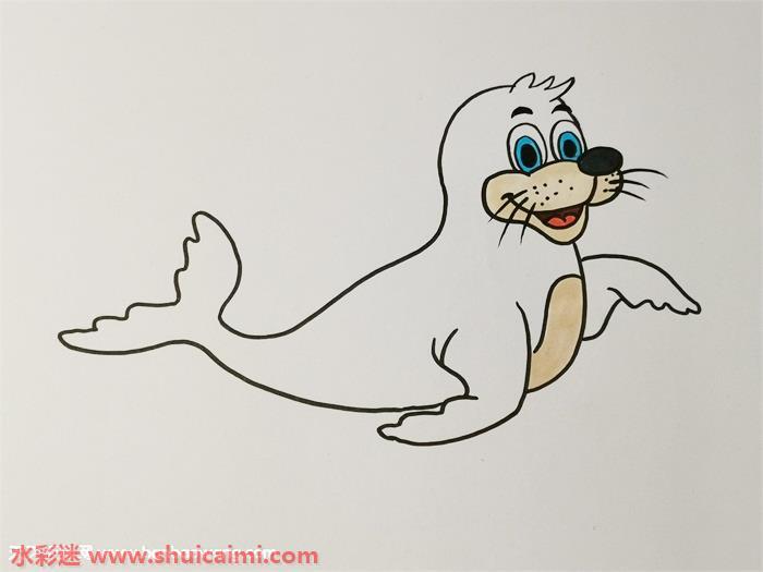 彩色可爱海豹怎么画 可爱海豹简笔画图片大全带颜色
