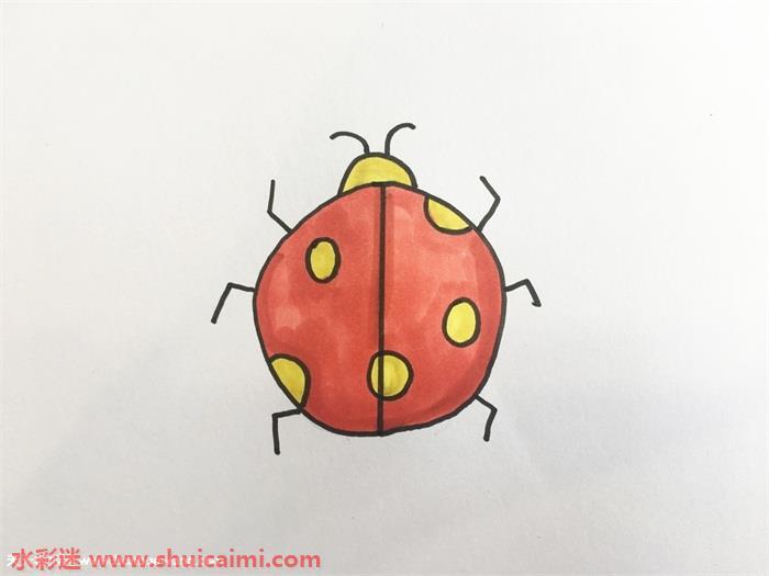 昆虫怎么画 昆虫简笔画彩色