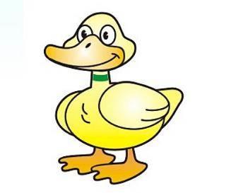 小鸭简笔画 小鸭简笔画怎么画