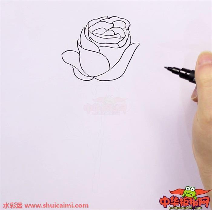 玫瑰花怎么画 玫瑰花简笔画步骤图