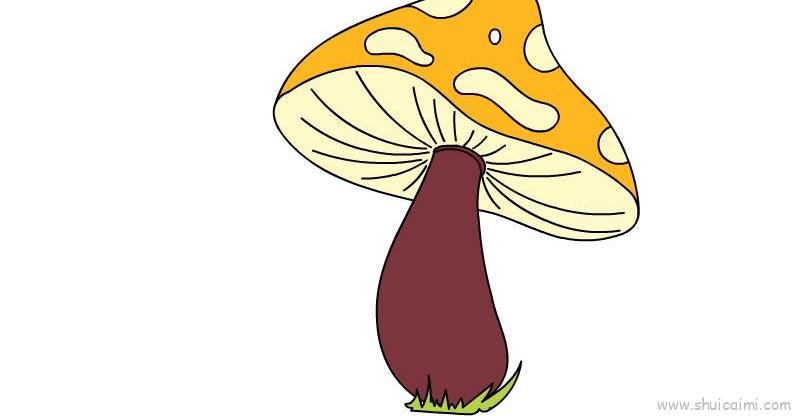 巨大的蘑菇简笔画教学步骤