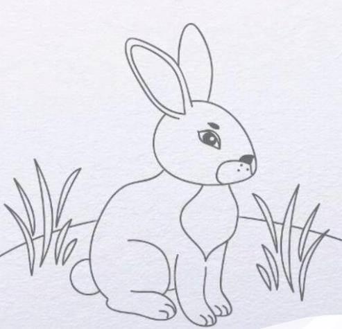 画小白兔简笔画 儿童画小白兔简笔画