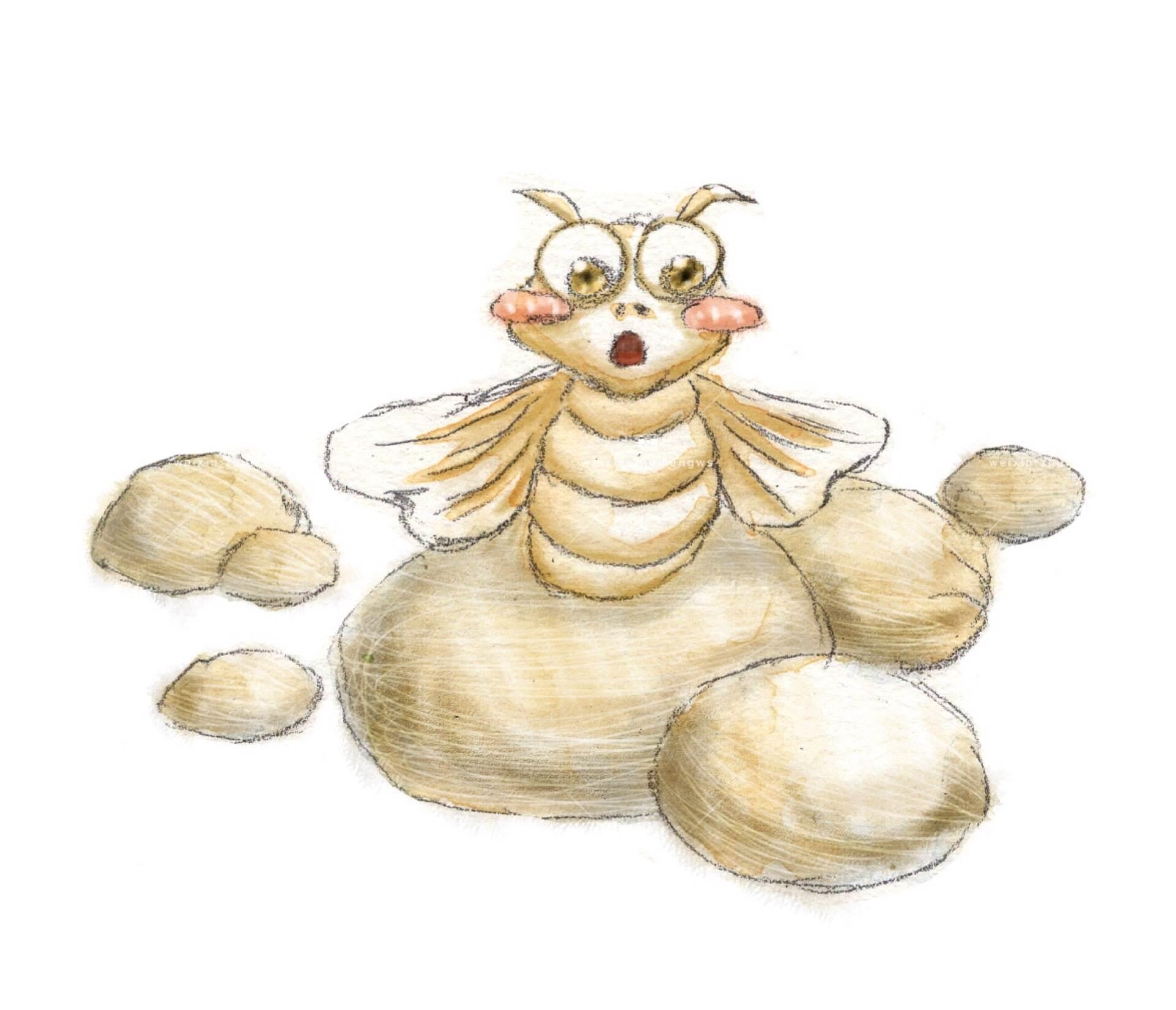 蚕蛾简笔画 蚕蛾简笔画 简单漂亮