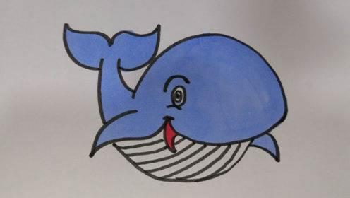 蓝鲸简笔画 蓝鲸简笔画图片大全