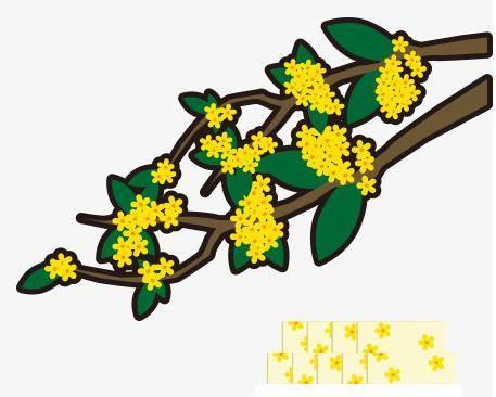 桂花简笔画 桂花简笔画图片