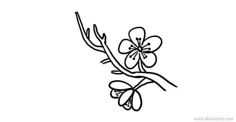 武汉樱花儿童画怎么画 武汉樱花简笔画教程