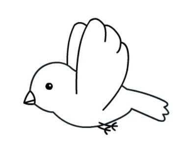 小鸟 简笔画 小鸟简笔画怎么画