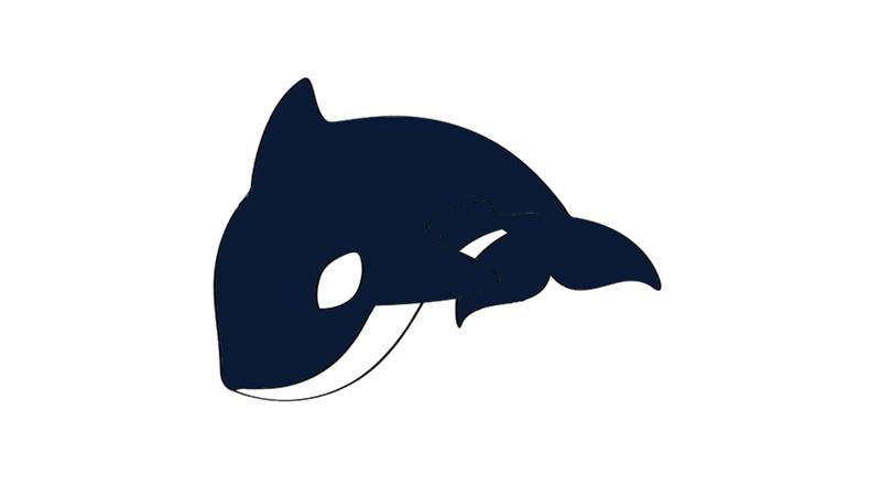 虎鲸简笔画怎么画 虎鲸简笔画好看