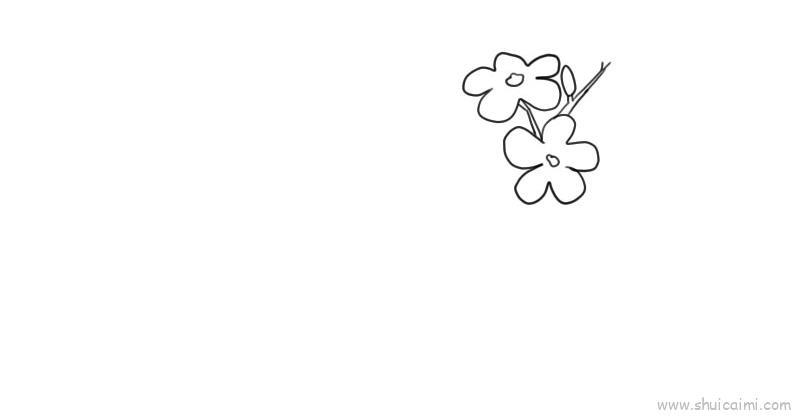 迎春花儿童画怎么画 迎春花简笔画图片大全