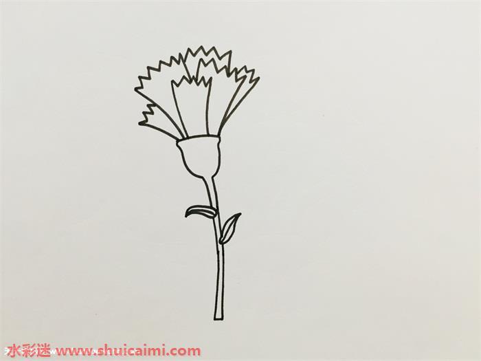 康乃馨怎么画 康乃馨简笔画简单又漂亮彩色