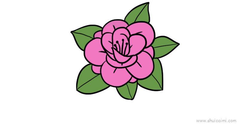 花卉儿童画怎么画 花卉简笔画顺序