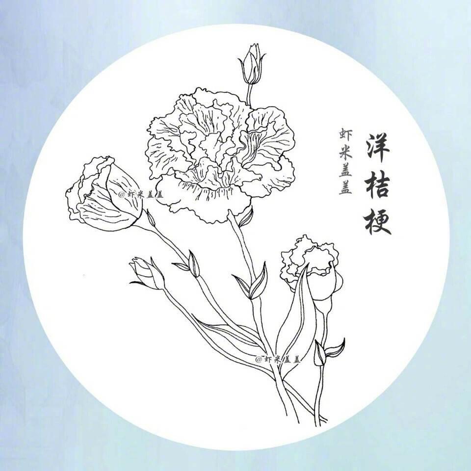 花简笔画 花简笔画图片大全