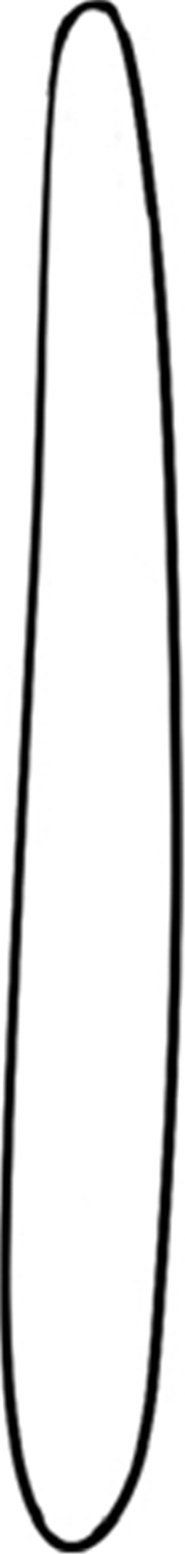 细长的丝瓜简笔画怎么画 细长的丝瓜简笔画简单