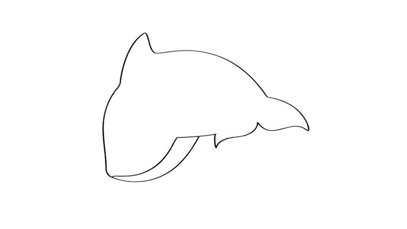 虎鲸简笔画怎么画 虎鲸简笔画好看
