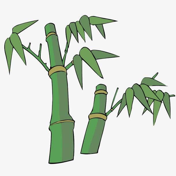 竹子的简笔画 竹子的简笔画图片