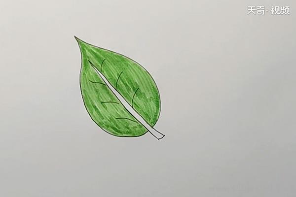 树叶简笔画怎么画 树叶简笔画顺序
