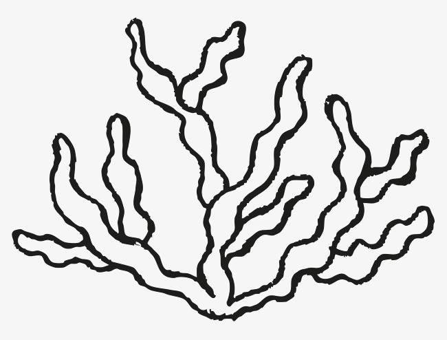 海草简笔画 海草简笔画简单又漂亮
