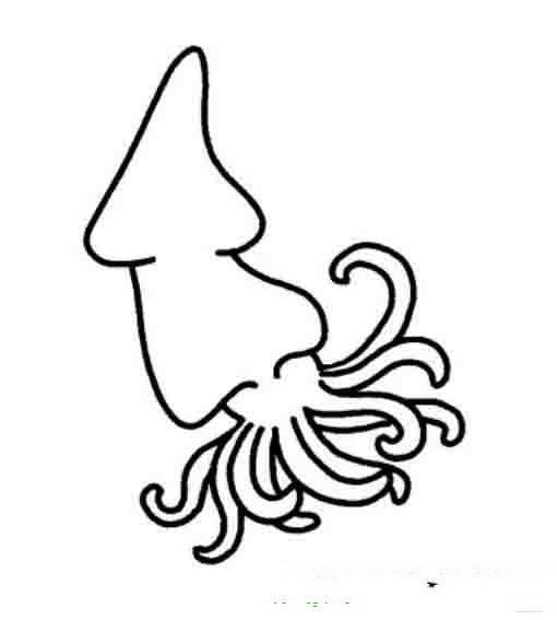 鱿鱼简笔画 铁板鱿鱼简笔画