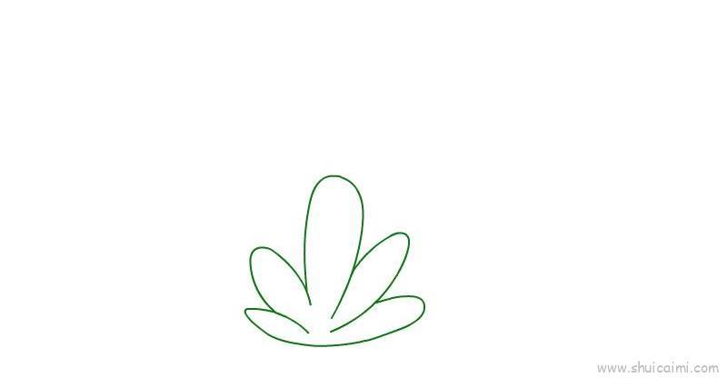 植物儿童画怎么画 植物简笔画简单绘画教程