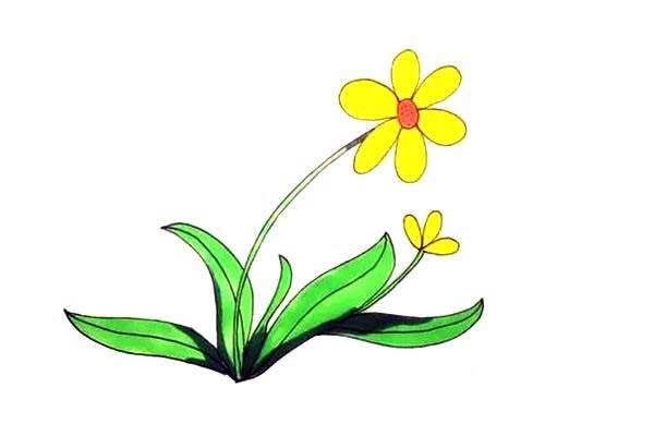 太阳花简笔画 太阳花简笔画简单又好看