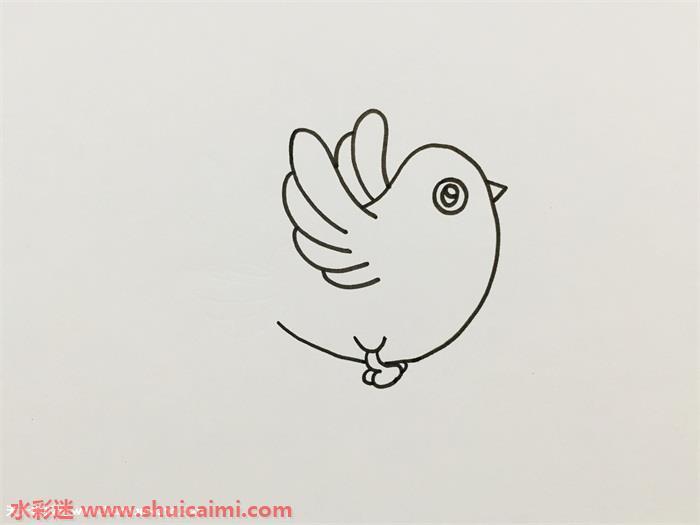 白鸽简笔画怎么画简单易画彩色