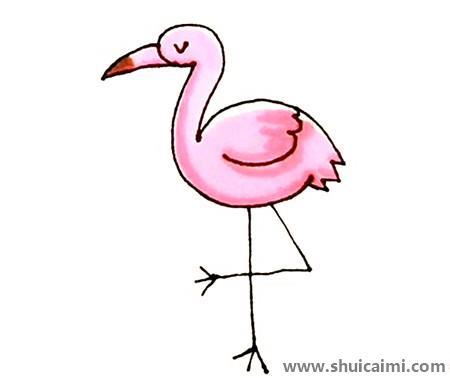 火烈鸟彩色儿童简笔画