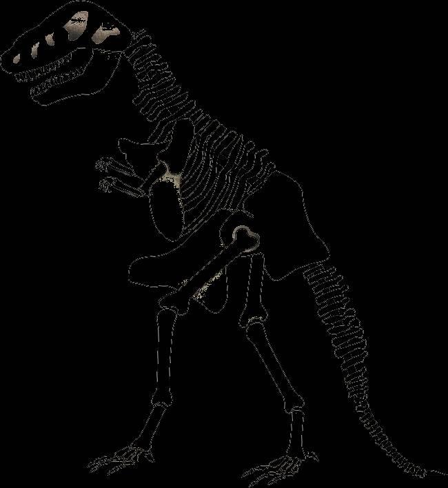 骨头简笔画图片大全 骨头简笔画图片大全彩色