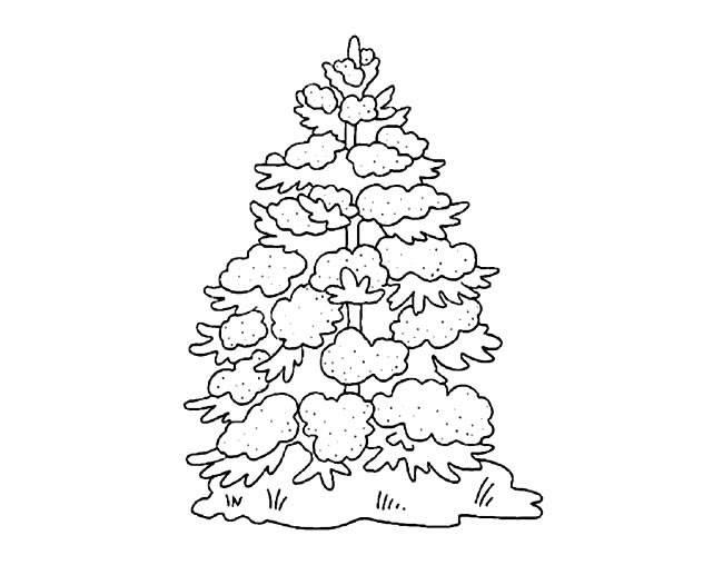 松树简笔画 松树简笔画大全大图