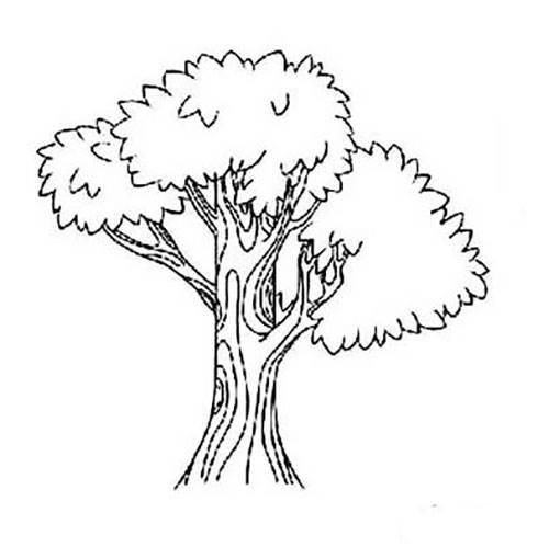 榕树简笔画 榕树简笔画图片带颜色