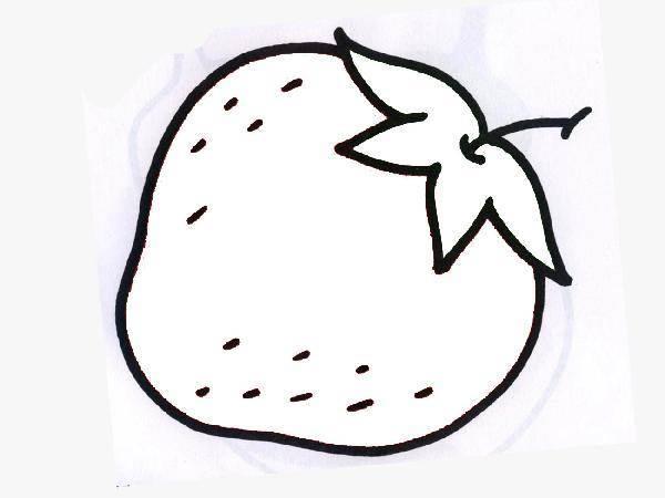柚子简笔画 柚子简笔画图片大全