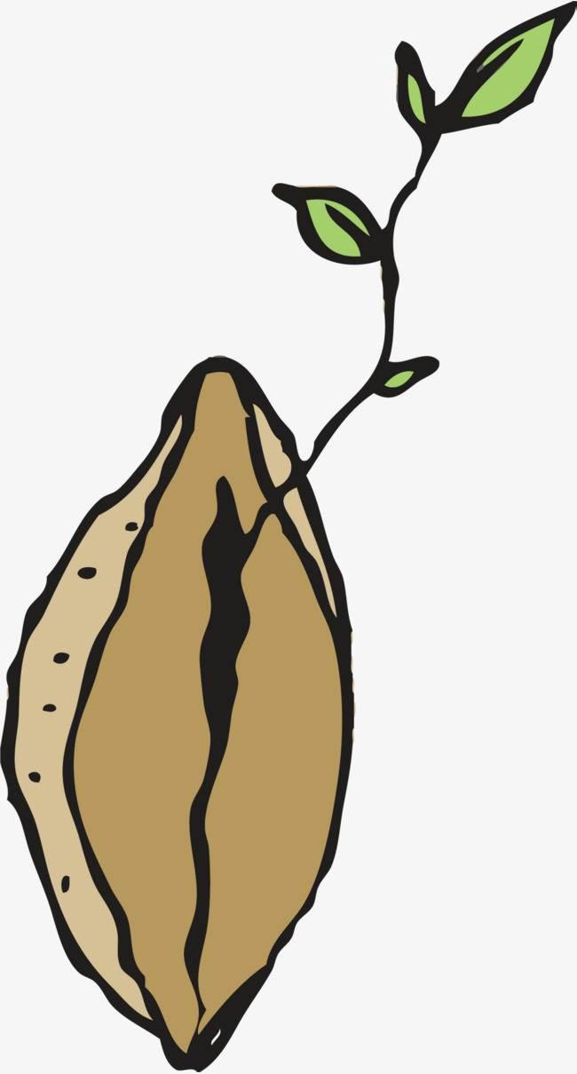 种子简笔画 种子简笔画豆子