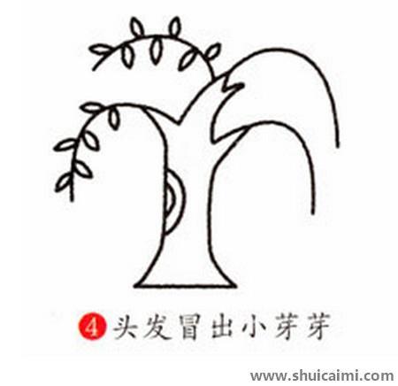 柳树儿童简笔画