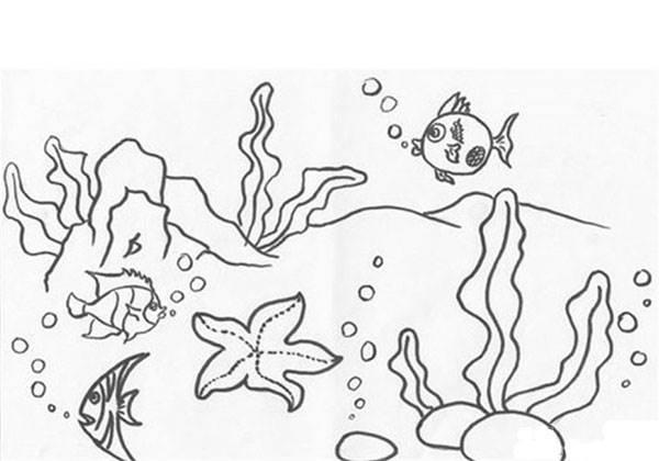 海草简笔画 海草简笔画简单又漂亮