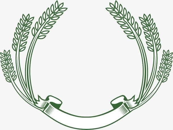 麦穗怎么画 麦穗边框图案大全