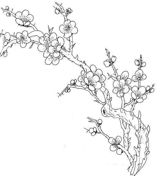 梅花树简笔画 梅花树简笔画手绘