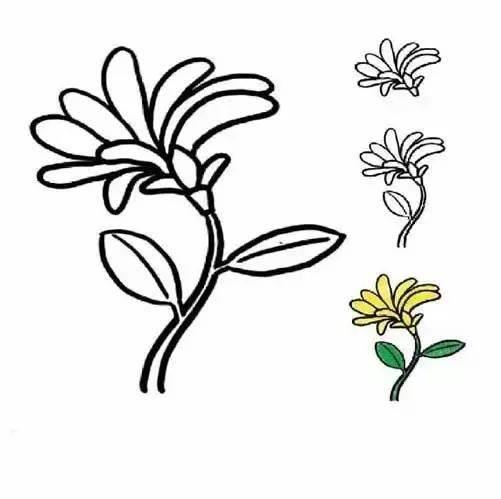 画植物简笔画 儿童画植物简笔画