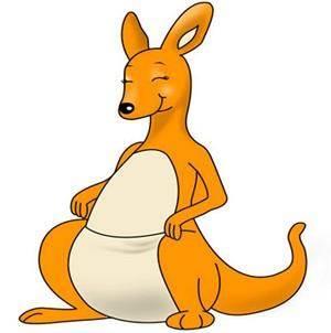 袋鼠的简笔画图片大全 袋鼠的简笔画图片大全彩色