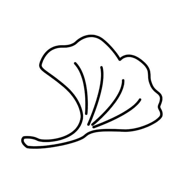 银杏叶简笔画 银杏树简笔画简单又好看