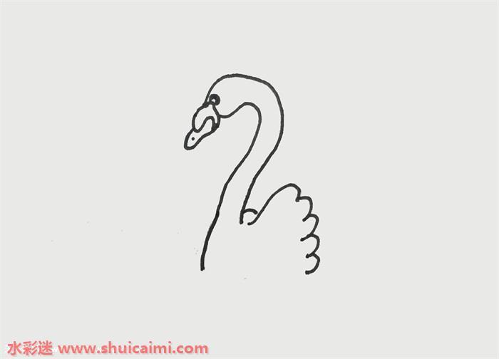 天鹅怎么画 天鹅简笔画步骤