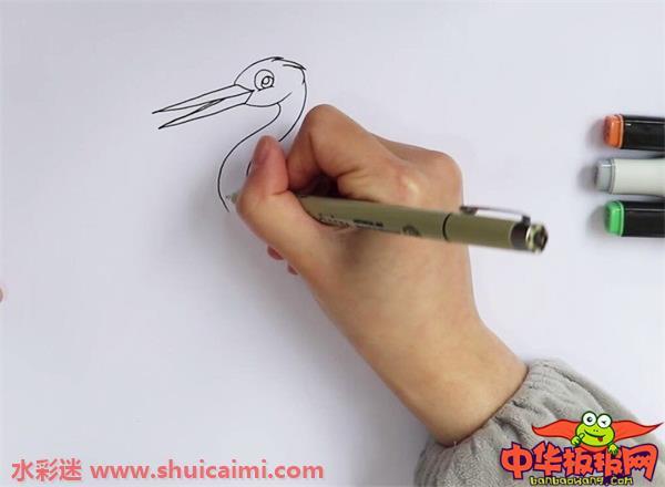 白鹭怎么画 白鹭简笔画图片大全带颜色