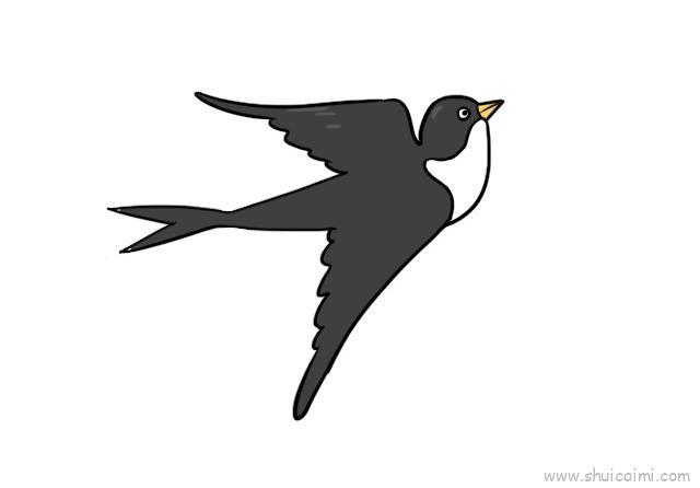小燕子儿童画怎么画 小燕子简笔画顺序