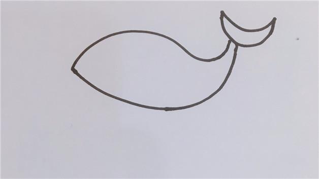 大白鲨简笔画怎么画 大白鲨简笔画顺序